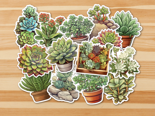 SUCCULENT Stickers