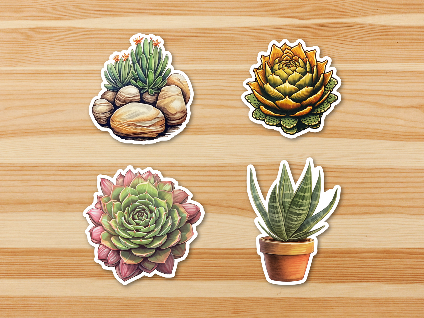 SUCCULENT Stickers