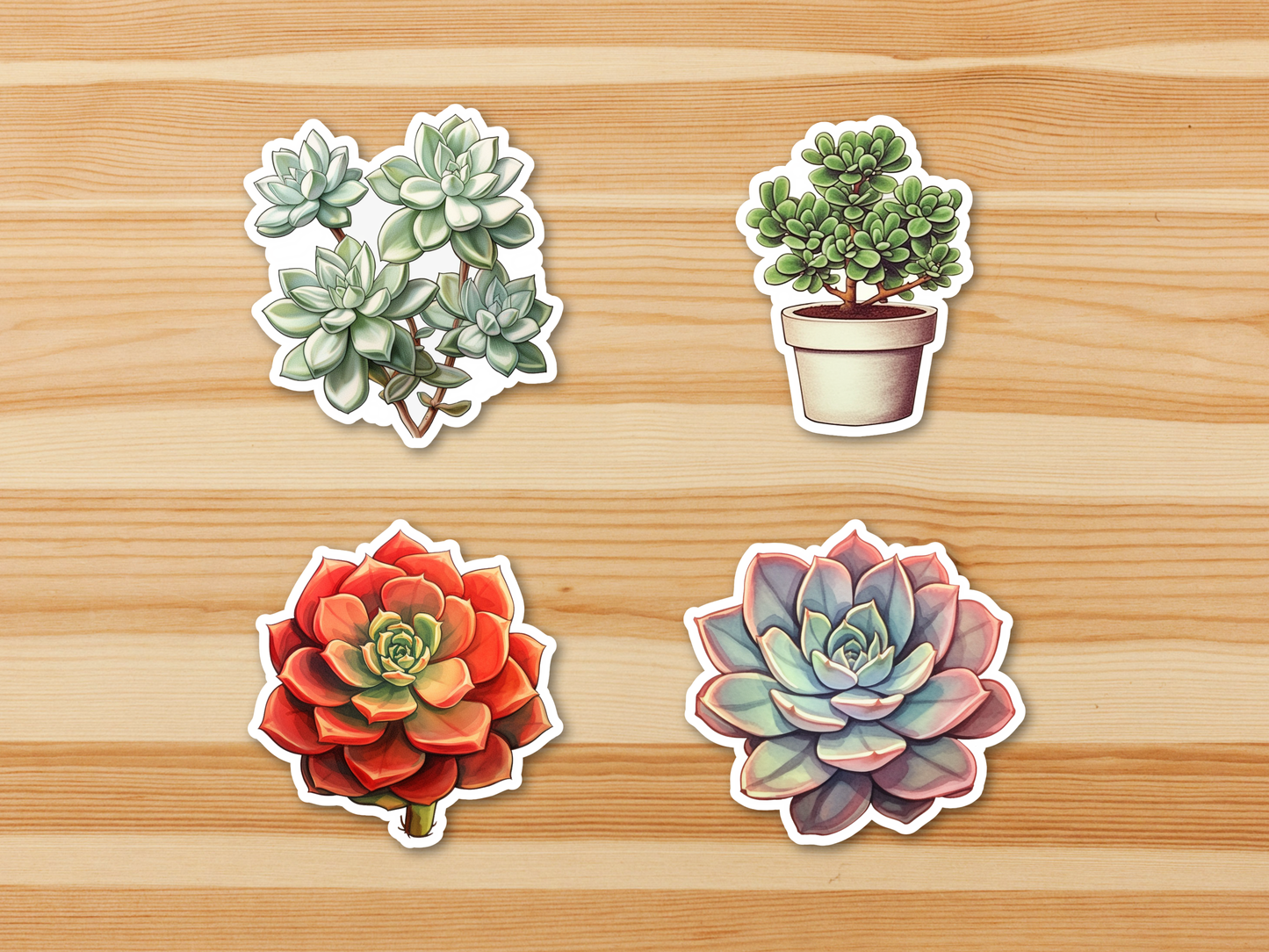 SUCCULENT Stickers