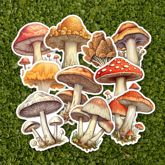 MUSHROOM Stickers