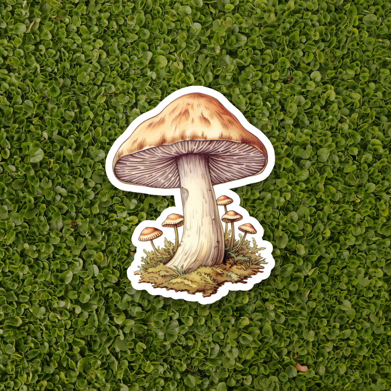 MUSHROOM Stickers