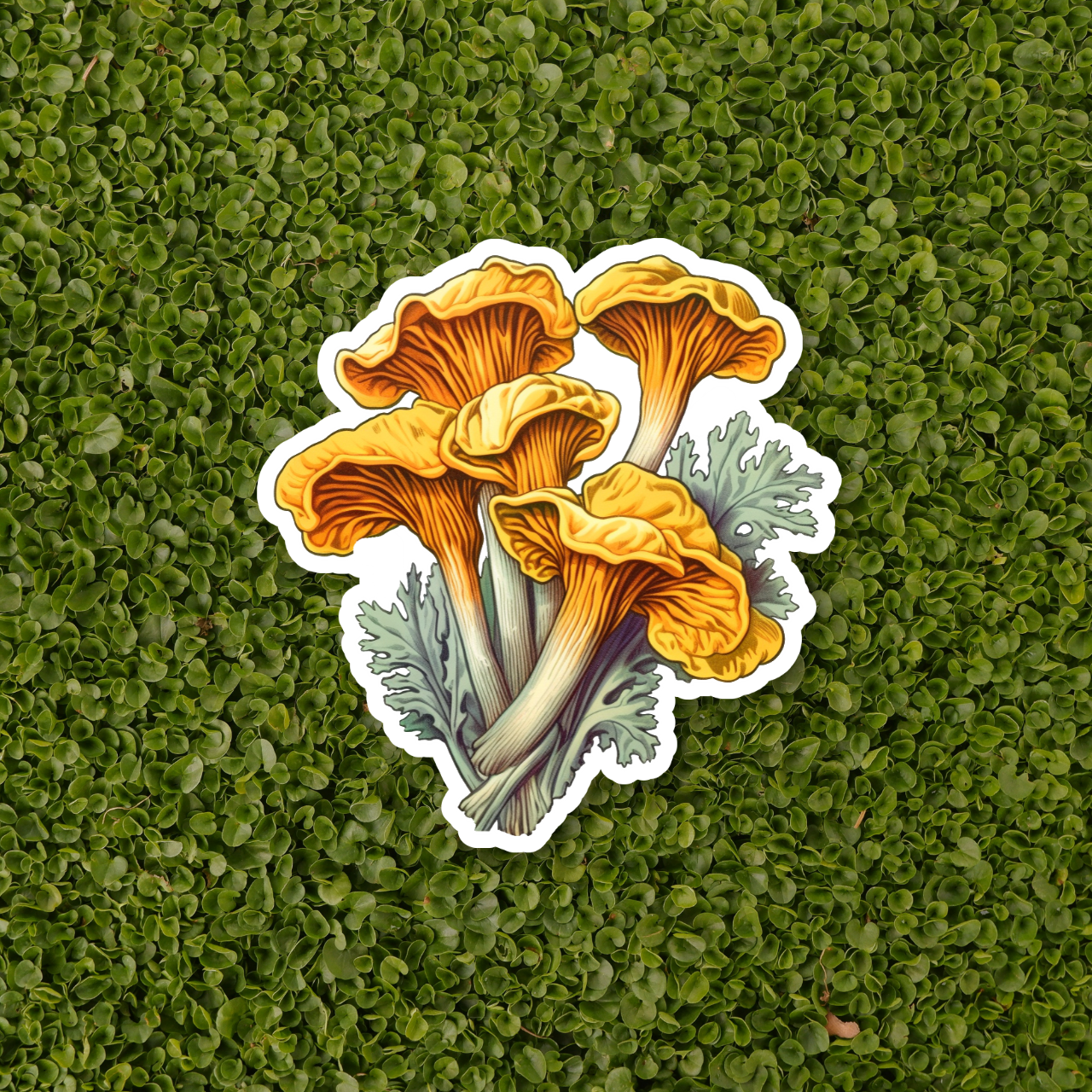 MUSHROOM Stickers