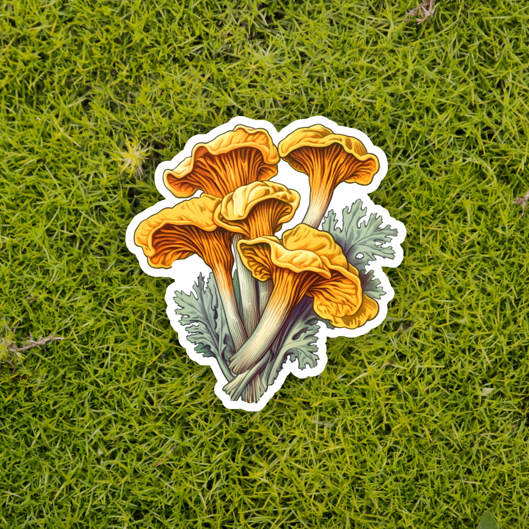 MUSHROOM stickers