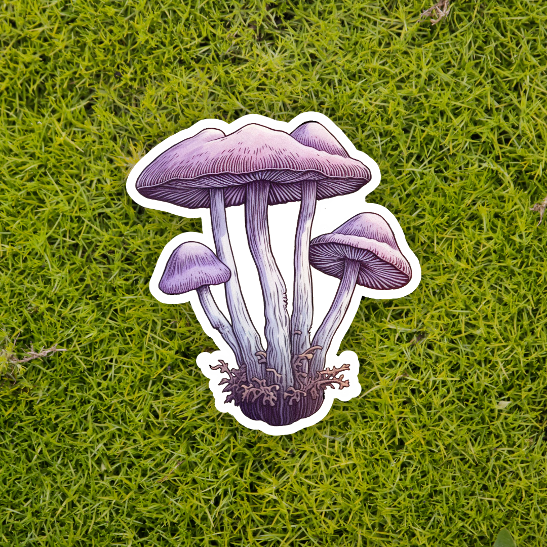 MUSHROOM stickers